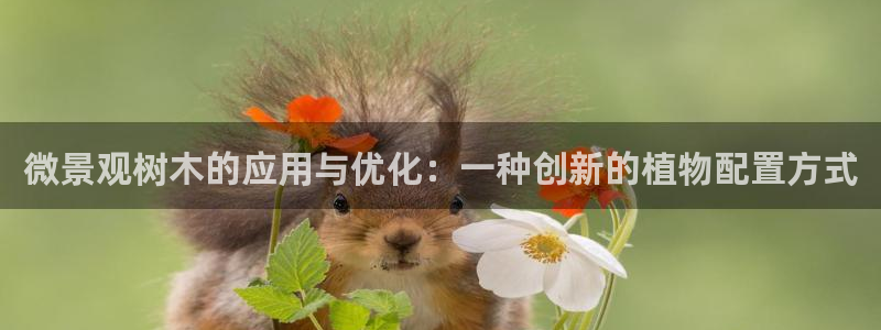 摩根娱乐总部在哪里