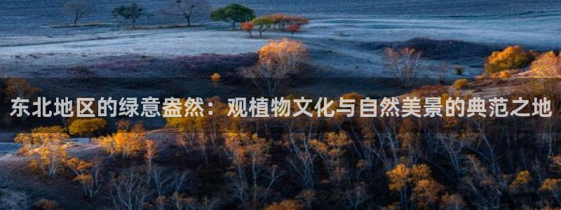 摩根娱乐50186叩