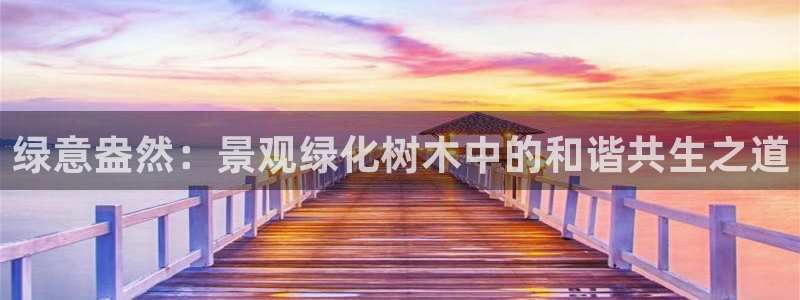 摩根大通黄金娱乐