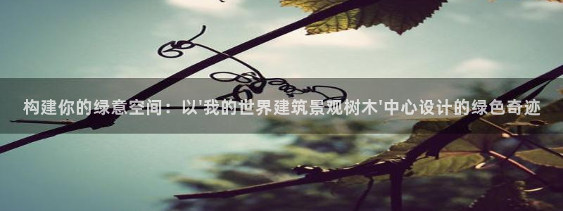 摩根娱乐50186加