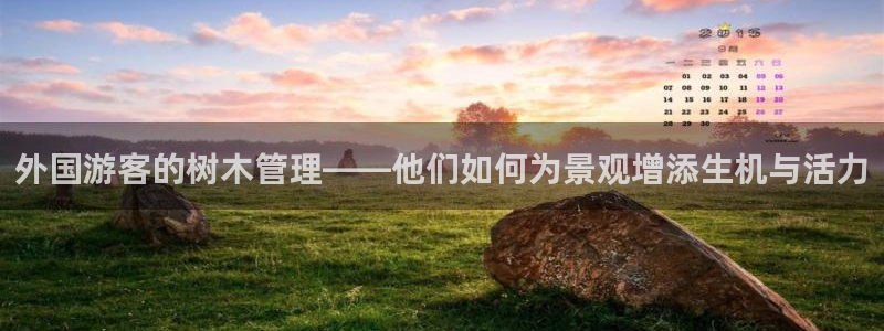 摩根娱乐宝代理