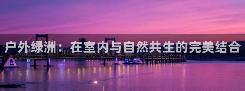 摩根娱乐金光