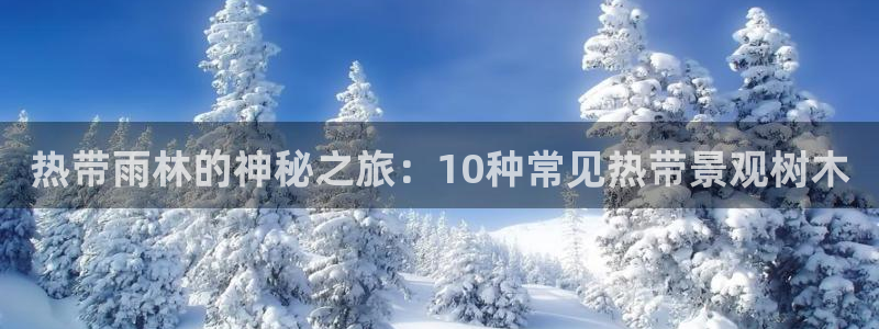 泉州摩根会娱乐有限责任公司管理：热带雨林的神秘之旅：10种常见热带景观树木