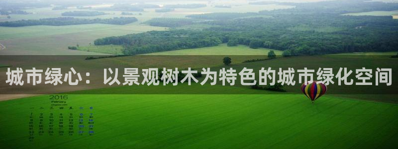 摩根娱乐50186叩