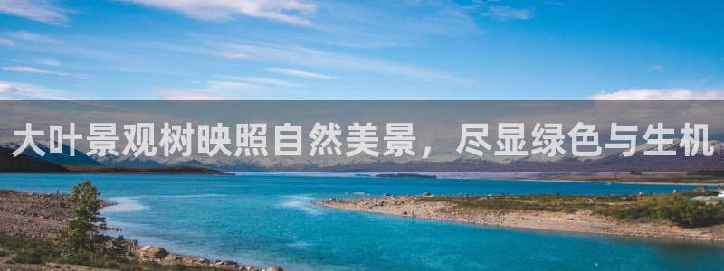 义乌市摩根娱乐会所招聘