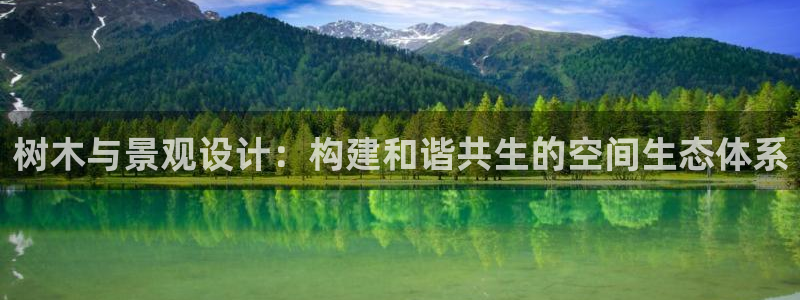 摩根娱乐宝机构代码