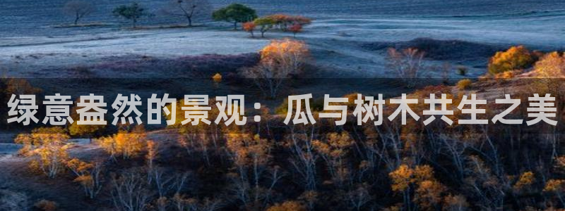 摩根国际亚太娱乐宝：绿意盎然的景观：瓜与树木共生之美
