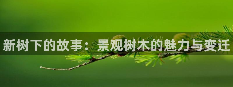 摩根娱乐宝手机客户端