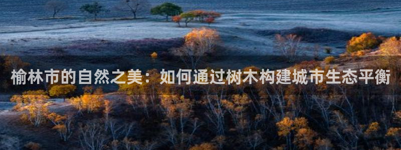 义乌摩根娱乐会所公主：榆林市的自然之美：如何通过树木构建城市生态平衡