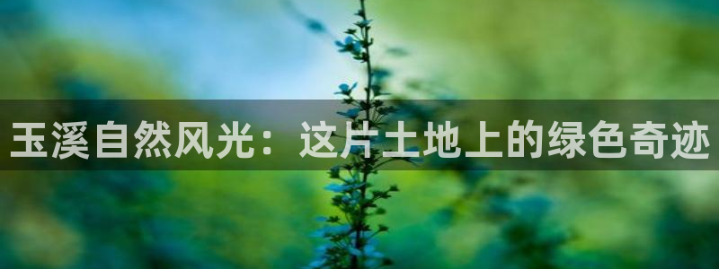 摩根娱乐宝收益怎么样：玉溪自然风光：这片土地上的绿色奇迹