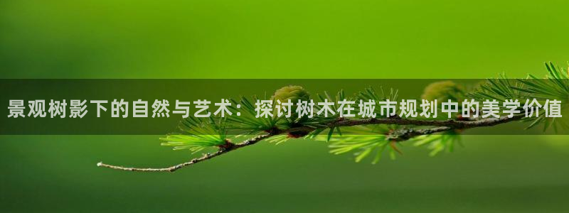 摩根会娱乐有限公司