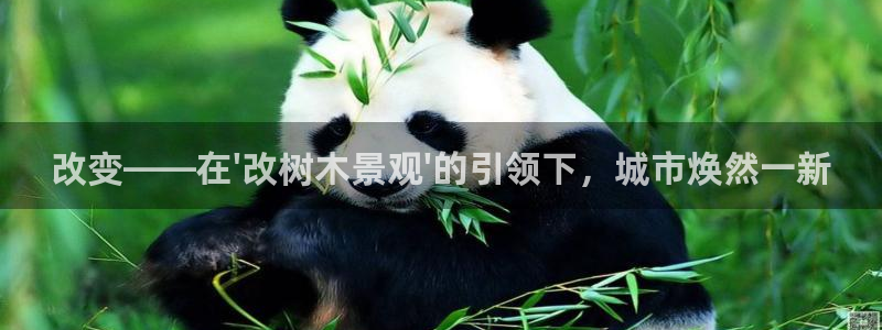 昆明滇池路摩根道娱乐