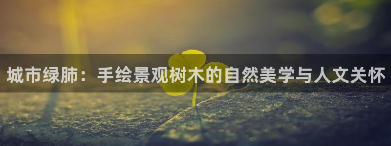 摩根娱乐宝打不开