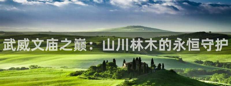 摩根娱乐宝如何提现