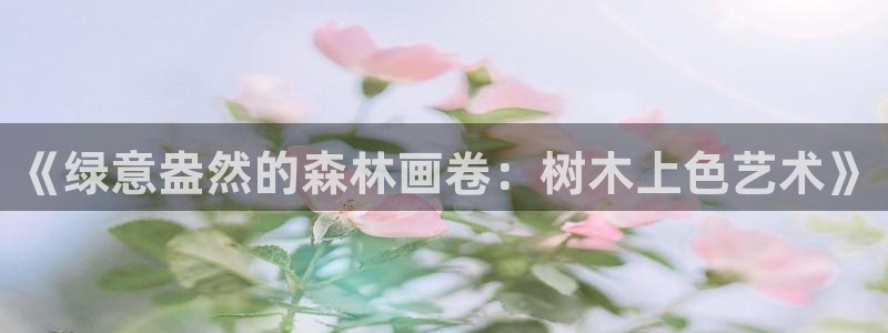 泉州摩根会娱乐场所