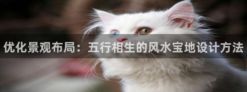 摩根娱乐宝官网