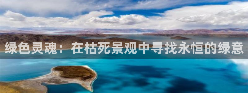 芜湖摩根一百有哪些娱乐