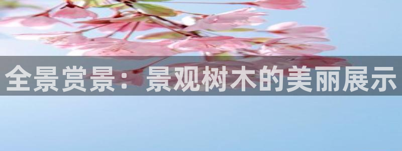 摩根娱乐宝。知道吗