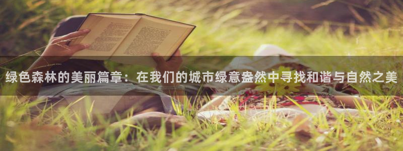 奥飞娱乐摩根调研