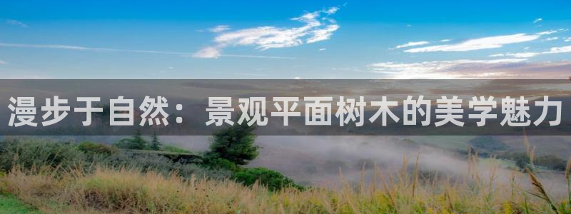 摩根娱乐宝是什么