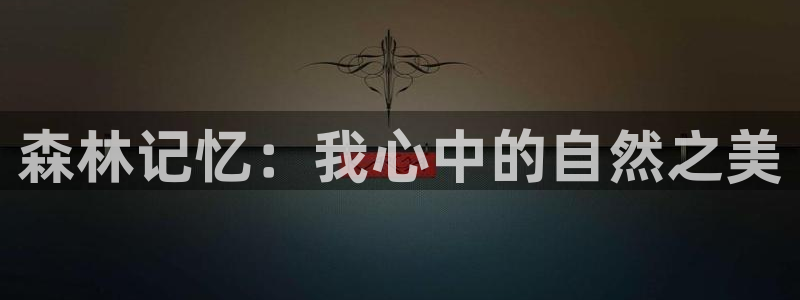 摩根娱乐开户总s管50015 18