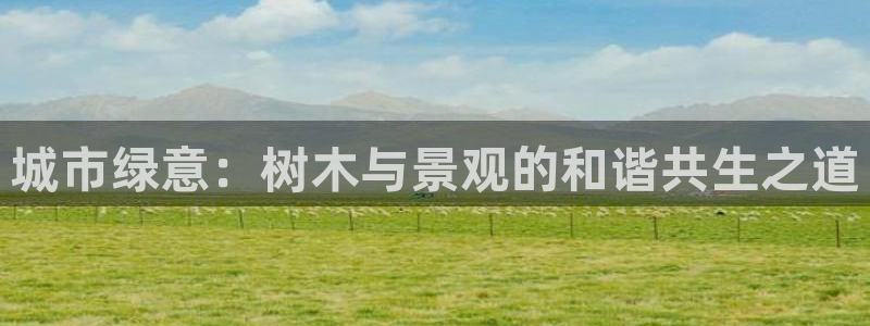 摩根娱乐宝怎么样