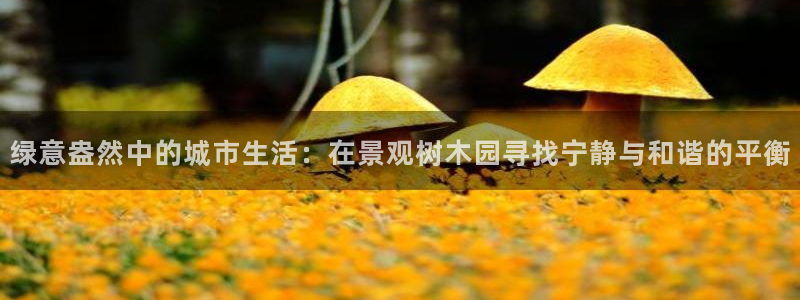 摩根国际娱乐宝在哪里