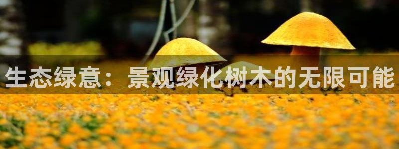 摩根娱乐彩票最忌三种东西