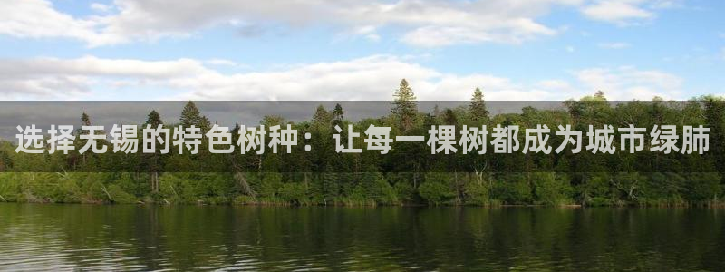 摩根娱乐宝是什么意思