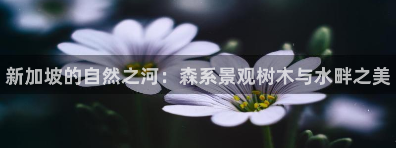 摩根娱乐↑总s管50015