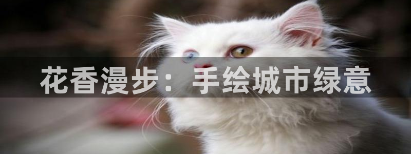 摩根娱乐开户 总s管50015