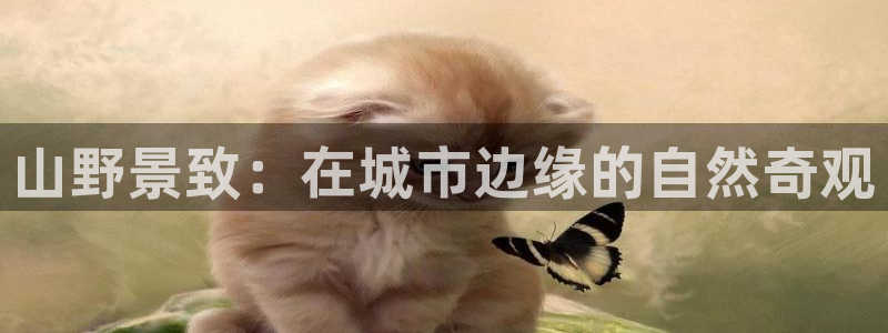 义乌摩根娱乐会所地址