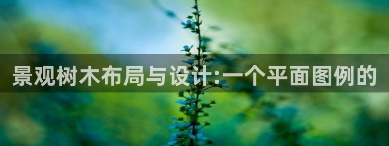 浙江义乌摩根娱乐场所