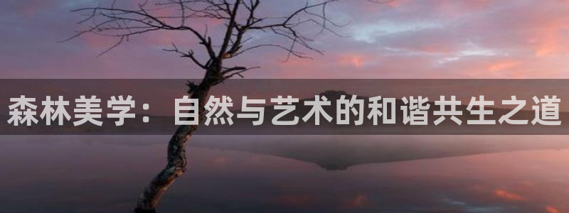 白宫摩根会娱乐会所