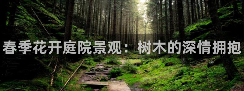 泉州摩根会娱乐张桂花