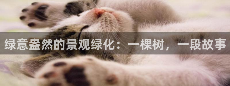 摩根娱乐宝下载