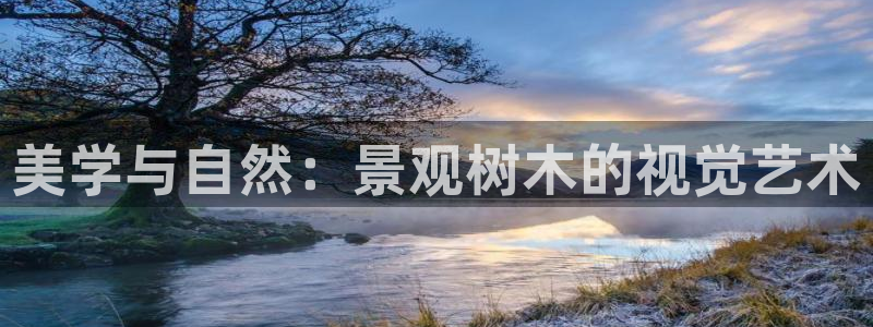 摩根会娱乐会所