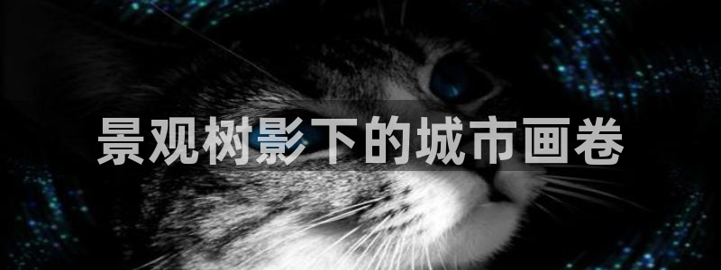 摩根转型娱乐的视频