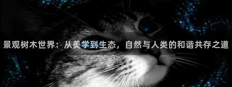 摩根娱乐二三事