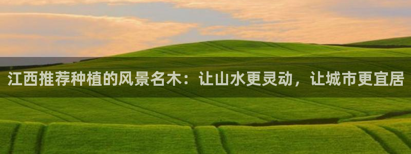 摩根娱乐50186加