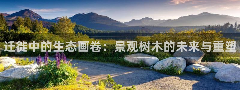 摩根中央公园娱乐