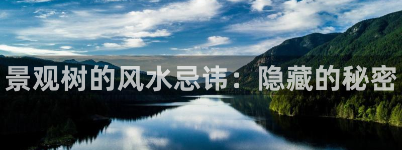 白宫摩根会娱乐有限公司