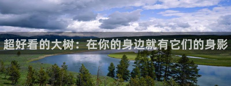 摩根娱乐宝被骗怎么办