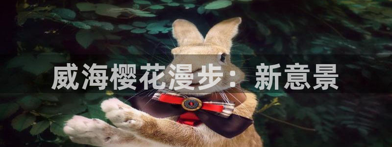 泉州摩根娱乐会所