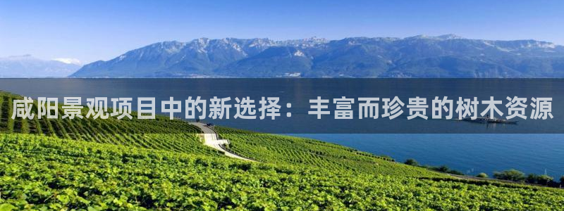 义乌摩根娱乐会所