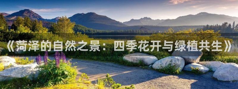 摩根娱乐宝教程