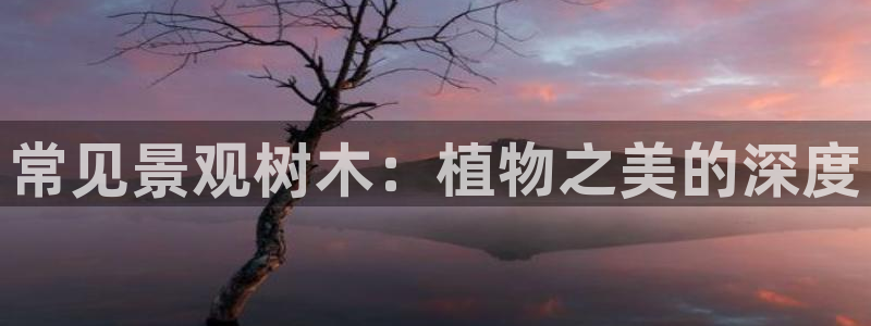 摩根娱乐宝手机客户端