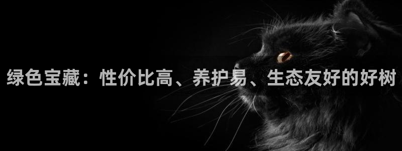 摩根娱乐宝 怎么样