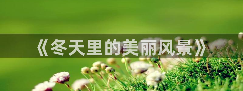 白宫摩根娱乐场所