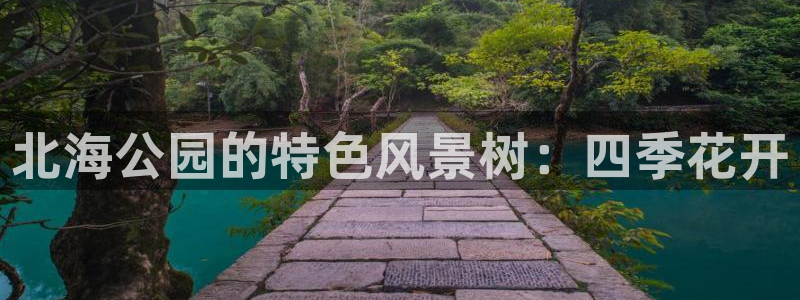 摩根在娱乐圈爆红